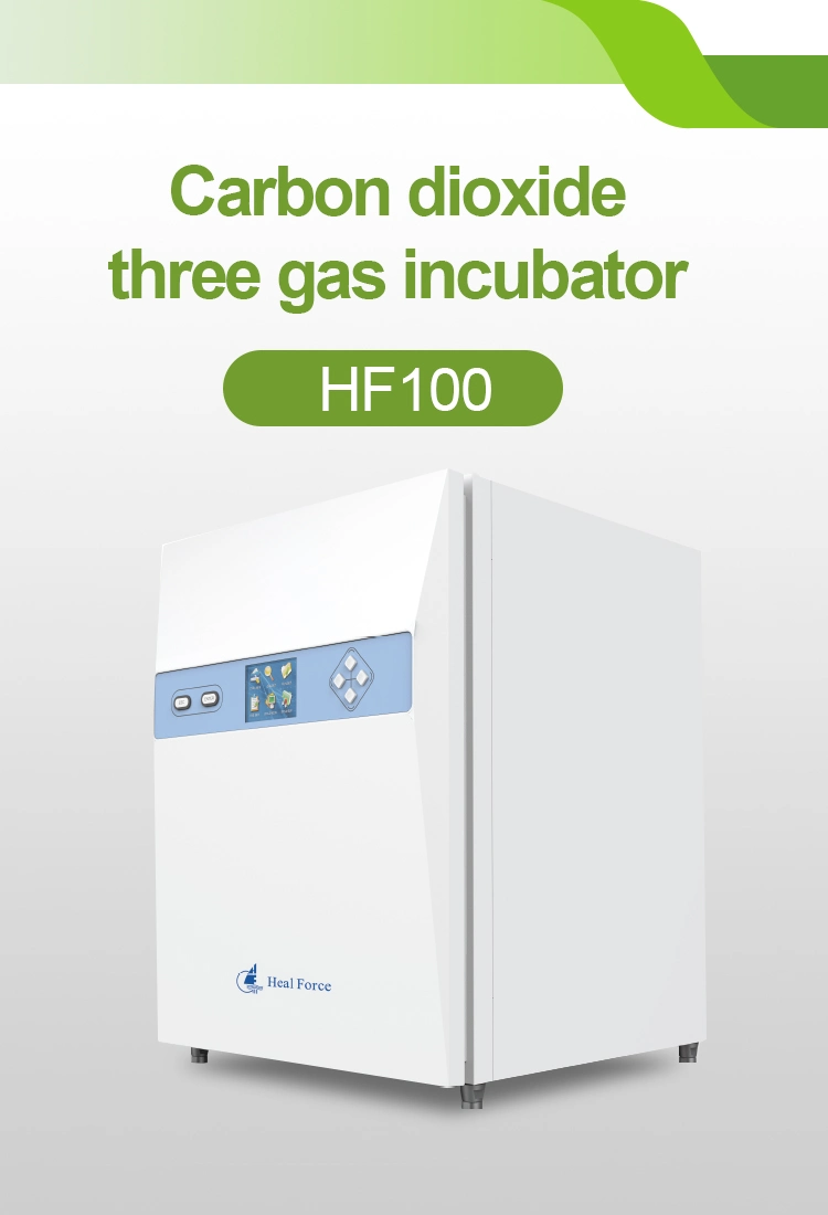 Laboratory CO2 Incubation for with LCD Display 160L Incubator Laboratory Medical CO2 Incubator